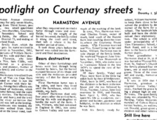 Courtenay Streets: Harmston Avenue
